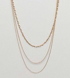 Ожерелье-цепочка в несколько рядов ASOS DESIGN Curve - Золотой