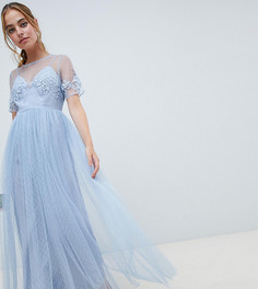 Платье макси из сетки добби с кружевной отделкой ASOS DESIGN Petite Bridesmaid - Зеленый