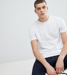 Белая удлиненная футболка с круглым вырезом ASOS DESIGN Tall - Белый