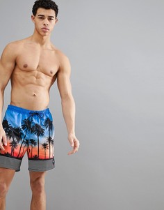 Пляжные шорты с синей и оранжевой отделкой Quiksilver - Синий