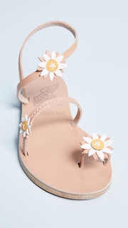 Ancient Greek Sandals Sheila Sandal