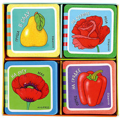 Комплект из 4 мини-книжек Эва "Что здесь растёт?" АЙРИС пресс