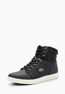 Кеды Lacoste