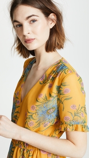 Madewell Sweetgrass Ruffle Sleeve Dress in Painted Blooms