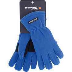 Перчатки ICEPEAK для мальчика