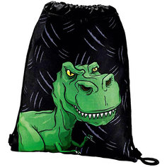 Мешок для обуви Hama "Dino"