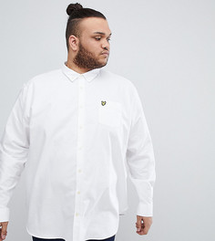 Белая оксфордская рубашка на пуговицах с логотипом Lyle &amp; Scott PLUS - Белый