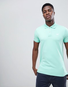 Поло мятно-зеленого цвета с контрастной планкой и логотипом чайка Hollister - Зеленый
