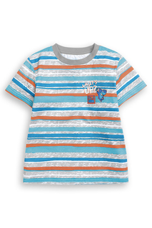 Футболка Pelican