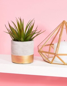 Керамический цветочный горшок с золотистой отделкой Sass &amp; Belle - Мульти