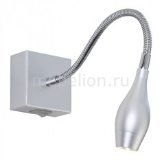 Бра Interior 1 A7003AP-1SS Arte Lamp