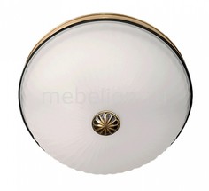 Накладной светильник Ангел 2 295013402 Mw Light