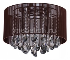 Накладной светильник Жаклин 465014506 Mw Light