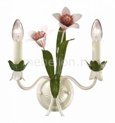 Бра Vergina 1511/2W Odeon Light