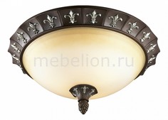 Накладной светильник Ridera 2784/3C Odeon Light