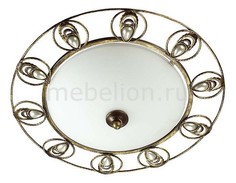 Накладной светильник Kanti 3484/2C Odeon Light