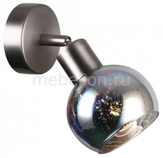 Спот Shiny 1219/1A J Light