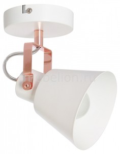 Спот Teo 1232/1A J Light