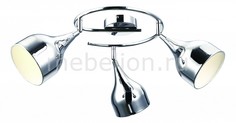 Спот Campana A9555PL-3CC Arte Lamp