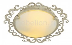Накладной светильник Riccioli A1060PL-2WG Arte Lamp