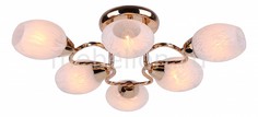Потолочная люстра Cosetta A6211PL-6GO Arte Lamp