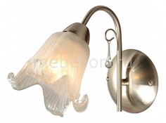 Бра Sussurro A7957AP-1SS Arte Lamp