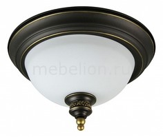 Накладной светильник Bonito A9518PL-2BA Arte Lamp