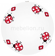 Накладной светильник Fly 4553002 Britop