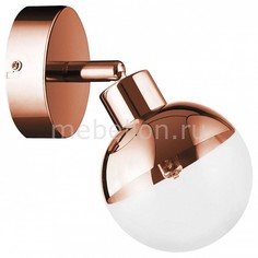 Спот Ginos Copper 2506113 Britop
