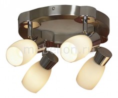 Спот Scalera LSQ-2601-04 Lussole