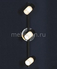 Спот Siliqua LSQ-6101-03 Lussole