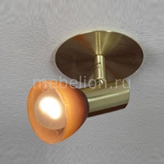 Спот Leggero LSQ-4190-01 Lussole