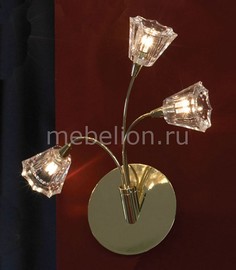 Бра Caserta LSC-3011-03 Lussole