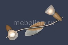 Спот Cisterino LSQ-6411-02 Lussole
