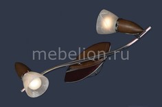 Спот Cisterino LSQ-6401-02 Lussole
