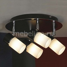 Спот Siliqua LSQ-6101-04 Lussole