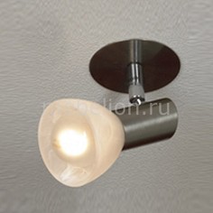 Спот Leggero LSQ-4100-01 Lussole
