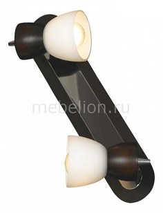 Спот Messina LSL-8201-02 Lussole