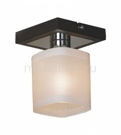 Светильник на штанге Costanzo LSL-9007-01 Lussole