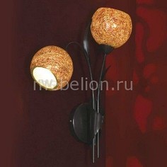 Бра Bagheria LSF-6201-02 Lussole
