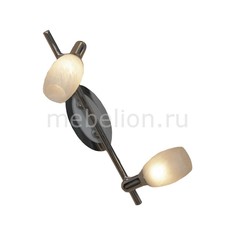 Спот Lissone LSL-8301-02 Lussole