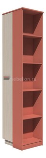 Шкаф комбинированный Рико 013.93-02 Сильва