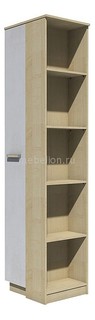 Шкаф комбинированный Фанк 013.93-02 Сильва