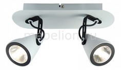 Спот Loft LSN-4101-02 Lussole