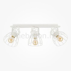 Спот 2118 Alano White Eurosvet