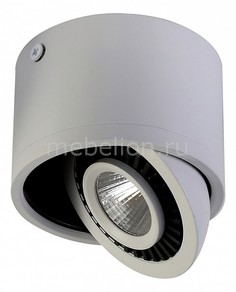 Накладной светильник Reflector 1775-1C Favourite