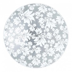 Накладной светильник Primrose TL9064Y-02WH Top Light