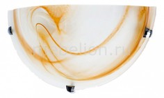 Накладной светильник Irma TL9070Y-01BE Top Light