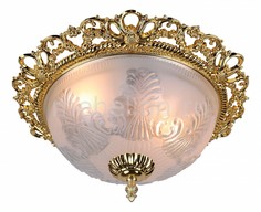 Накладной светильник Piatti A8002PL-2GO Arte Lamp