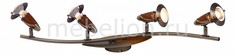 Спот Earl 5435-4 Globo